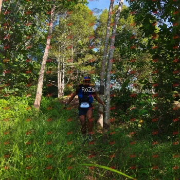 Runner Photo 4351