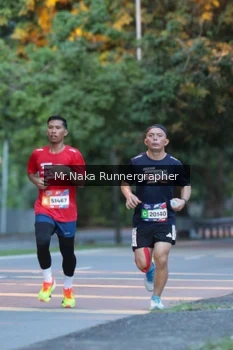Runner Photo 43522