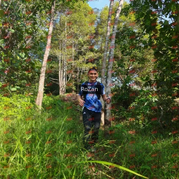 Runner Photo 4354