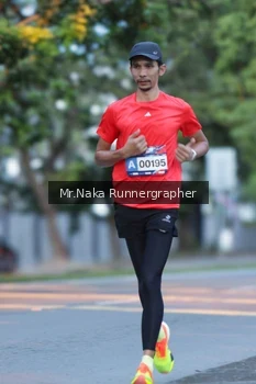 Runner Photo 43542