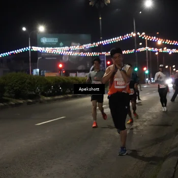 Runner Photo 4357582