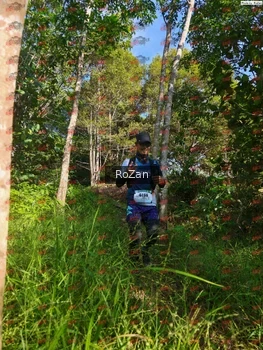 Runner Photo 4358