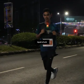 Runner Photo 4358040
