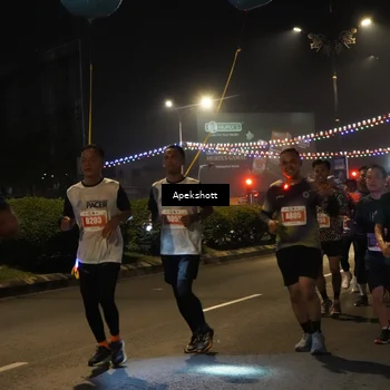 Runner Photo 4359245