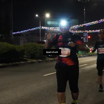 Runner Photo 4359922