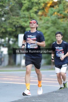 Runner Photo 43600