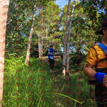 Runner Photo 4361