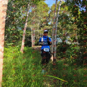 Runner Photo 4362