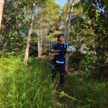 Runner Photo 4366
