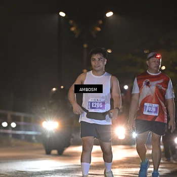 Runner Photo 4366187