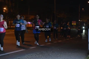 Runner Photo 4369437