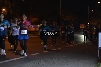 Runner Photo 4369441