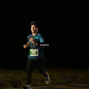 Runner Photo 4369700