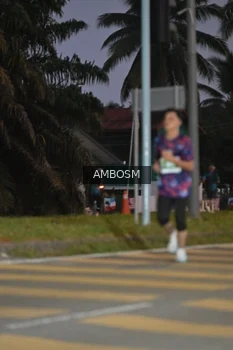 Runner Photo 4370177