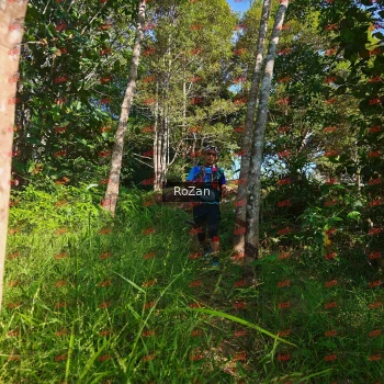 Runner Photo 4371