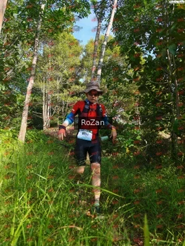 Runner Photo 4374