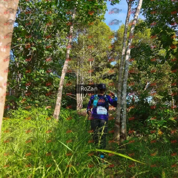 Runner Photo 4377