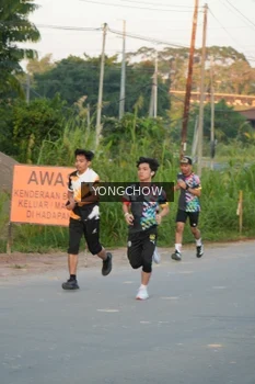 Runner Photo 4379529