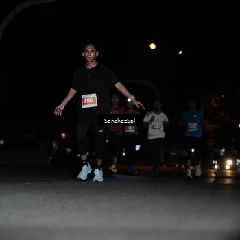 Runner Photo 4379873
