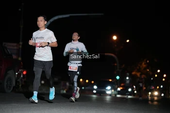 Runner Photo 4380168