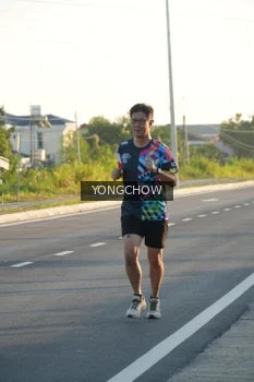 Runner Photo 4381064