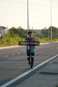 Runner Photo 4381823