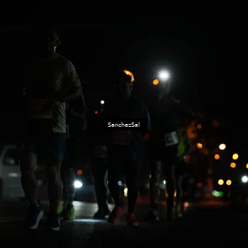 Runner Photo 4382503