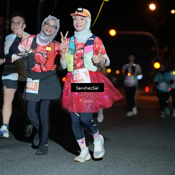 Runner Photo 4382841