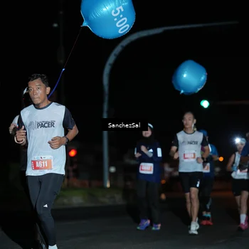 Runner Photo 4382992