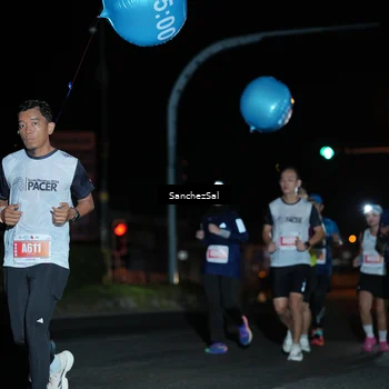 Runner Photo 4383004