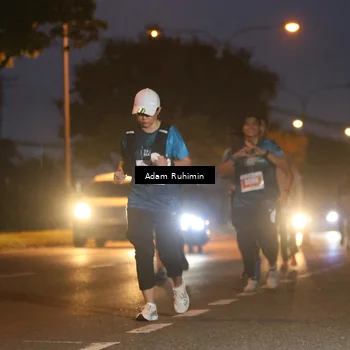 Runner Photo 4383044