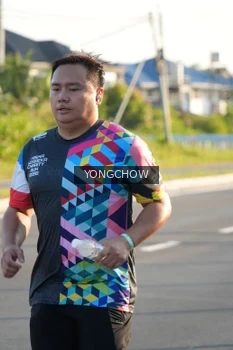 Runner Photo 4383048