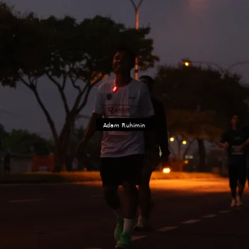 Runner Photo 4383060