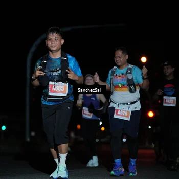 Runner Photo 4383946