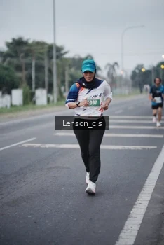 Runner Photo 4385290