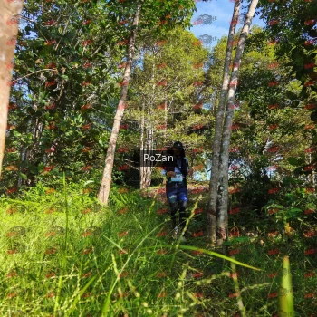Runner Photo 4386