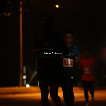 Runner Photo 4388881