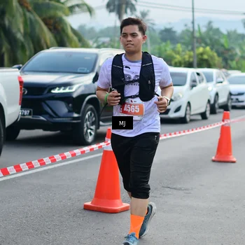 Runner Photo 4393684