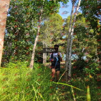 Runner Photo 4394