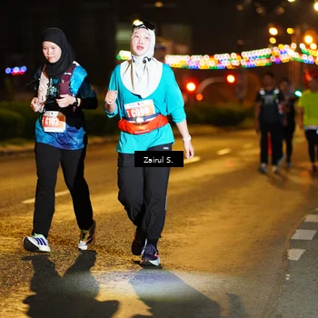 Runner Photo 4394945