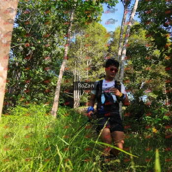 Runner Photo 4395