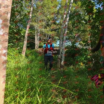 Runner Photo 4400