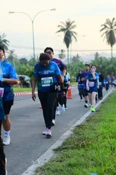 Runner Photo 4403074