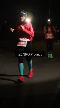 Runner Photo 4405824