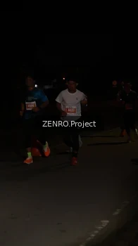 Runner Photo 4408454