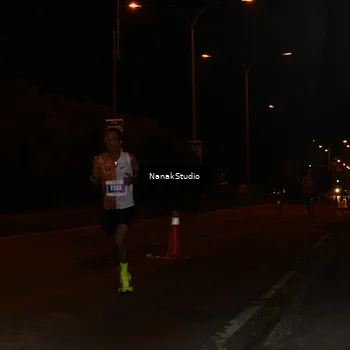 Runner Photo 4409484