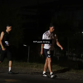 Runner Photo 4409944