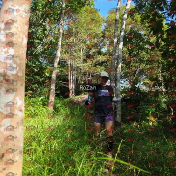 Runner Photo 4413