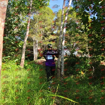 Runner Photo 4415