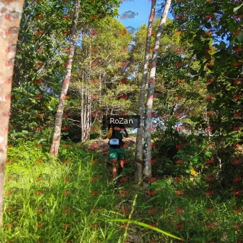 Runner Photo 4416